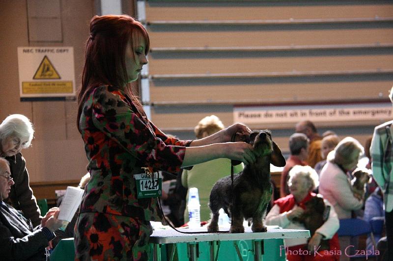 Crufts2011_2 889.jpg